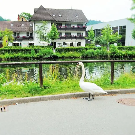 Hotel Schiff Nagold-2